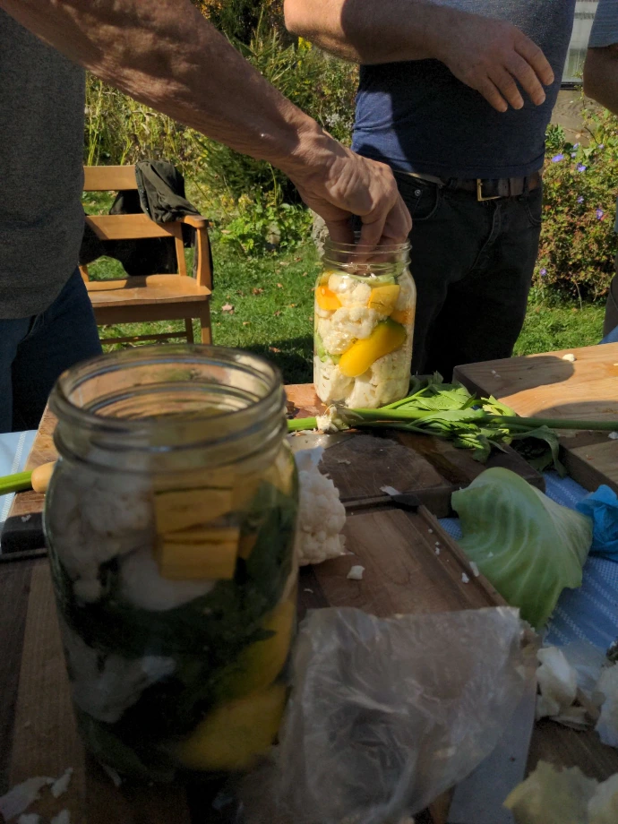 fermentation sauerkraut kimchi